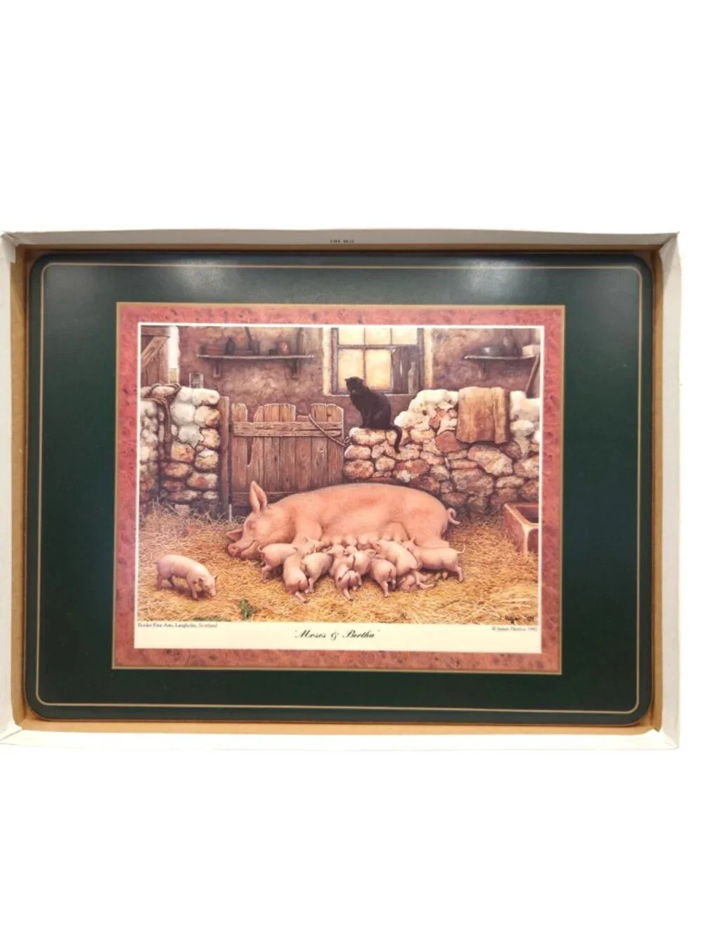 James Herriot Series 1 Placemats Acrylic Border Fine Arts Scotland Set of 6